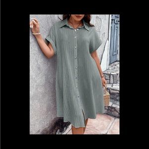 BRAND NEW NEVER USED Batwing sleeve button down shirt dress